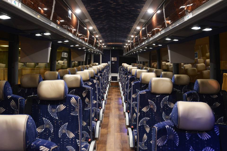 56 passenger Coach Bus