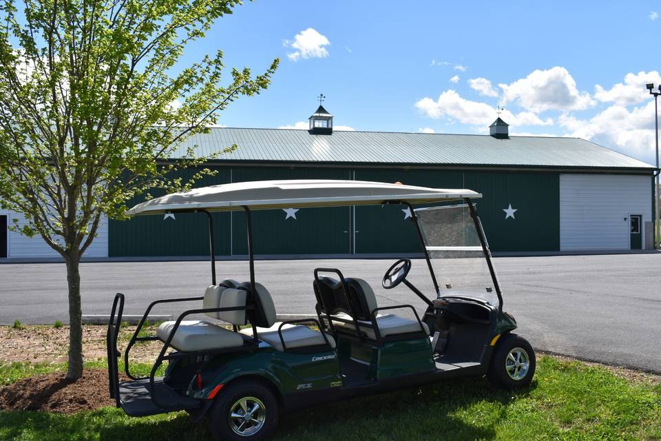 Six person golf cart