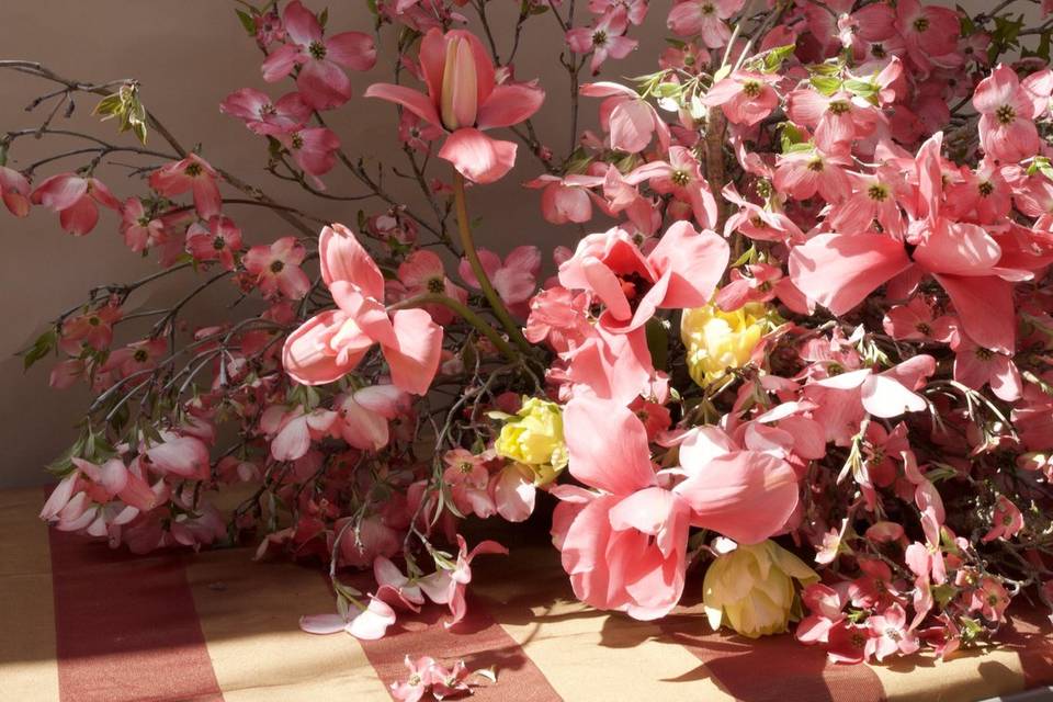 Dogwood and Tulips
