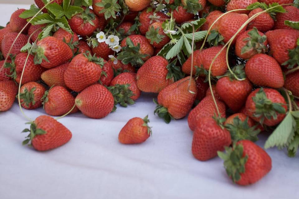 Strawberry Centerpiece