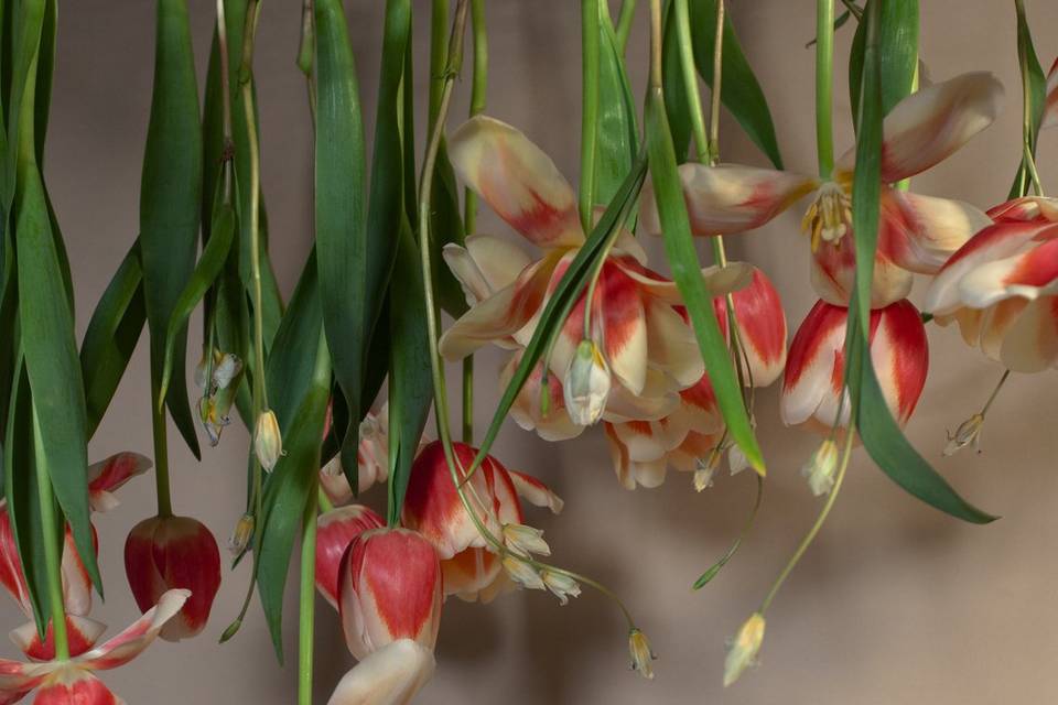 Floating Centerpiece