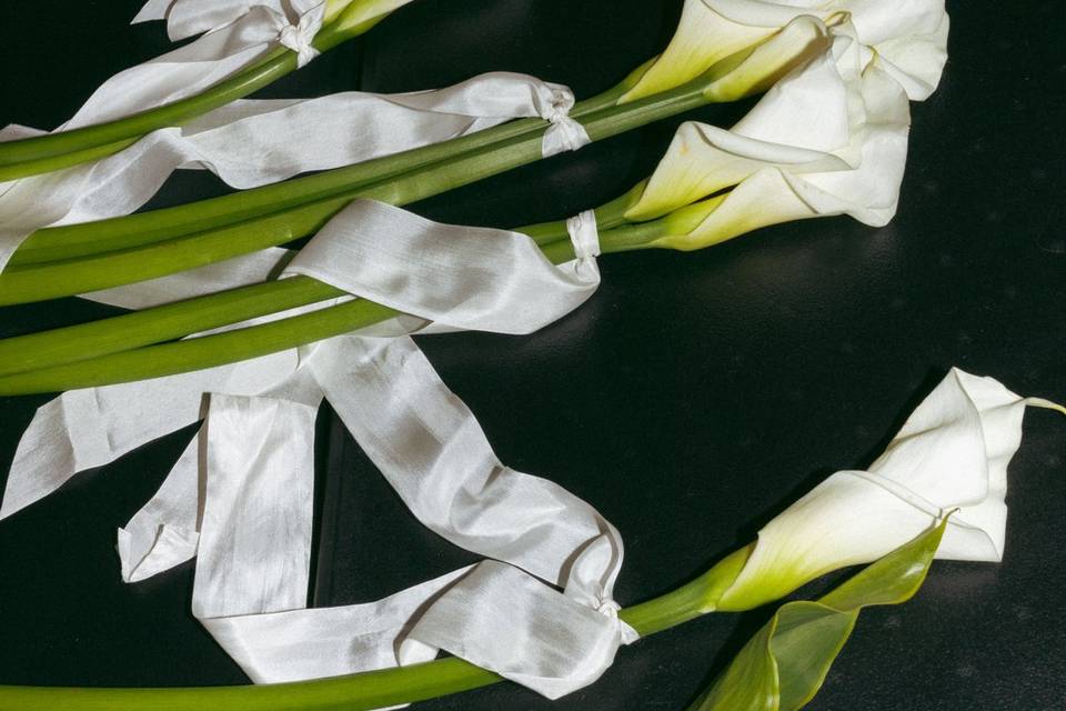 Calla Lilies