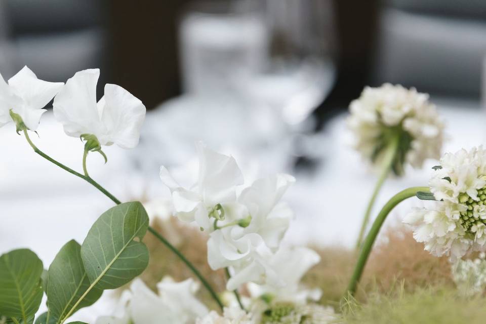 Centerpiece