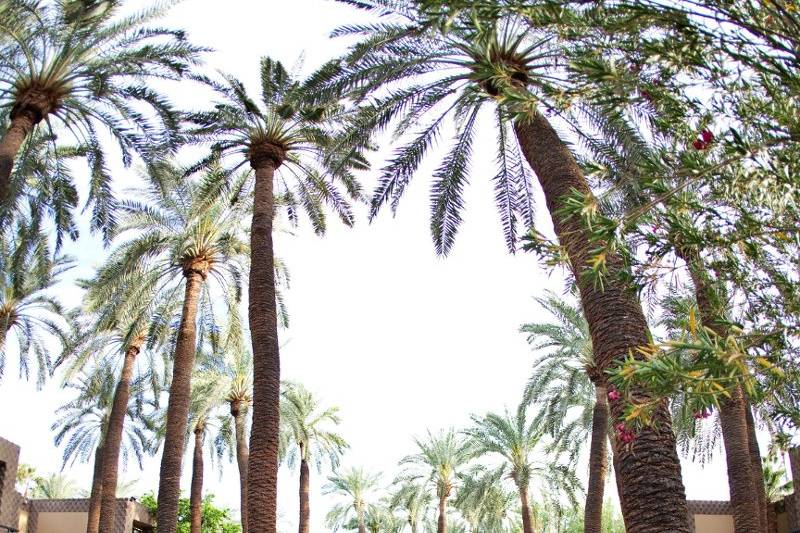 Outdoor wedding ceremony