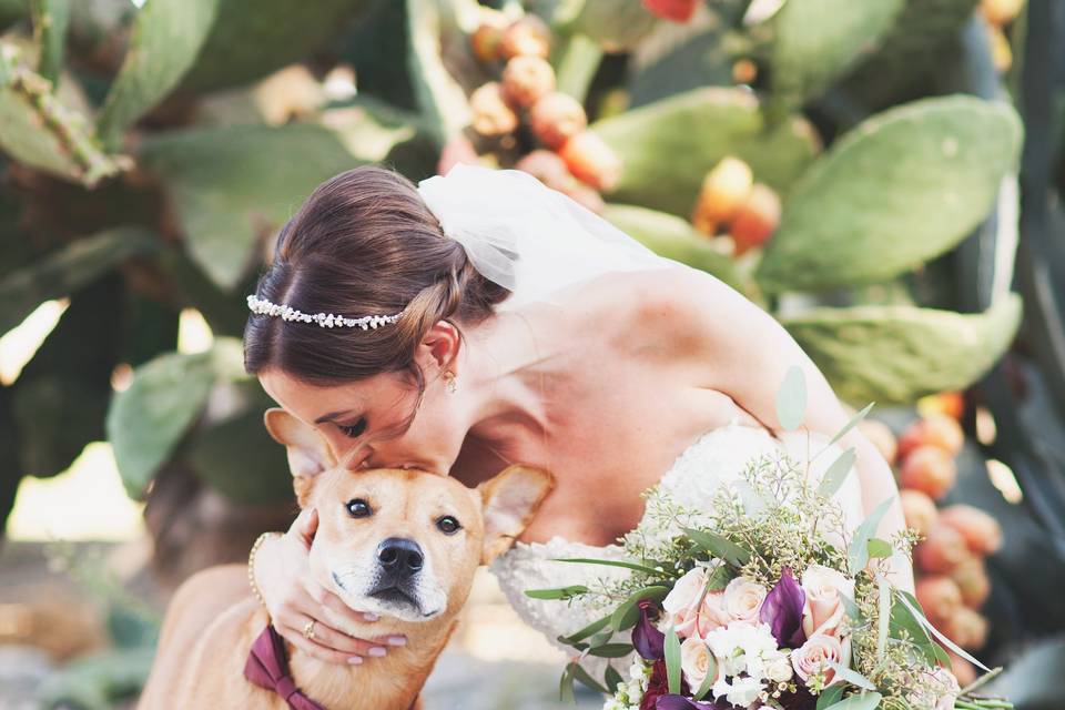 Bride and four-legged wedding guest - Valley Images Photography