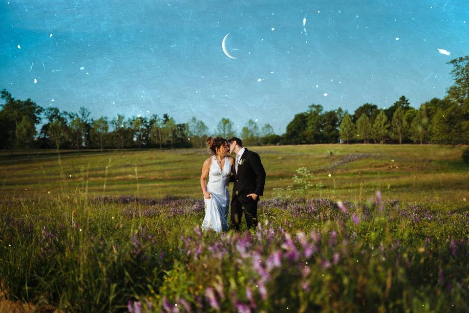 Wildflower field