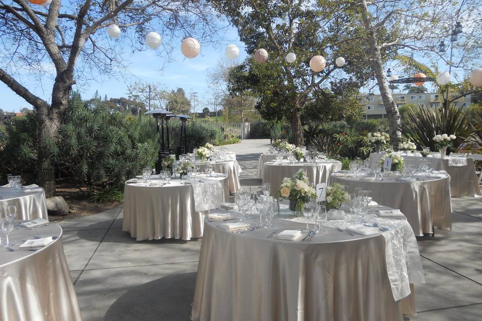 Patty's Linen Rentals