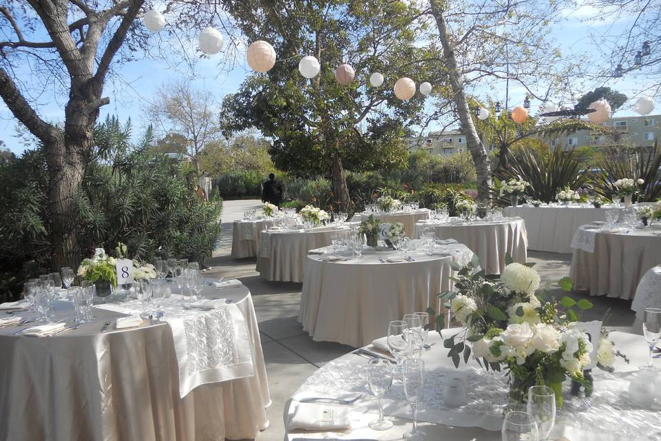 Patty's Linen Rentals