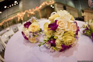The Blooming Twig Floral Design
