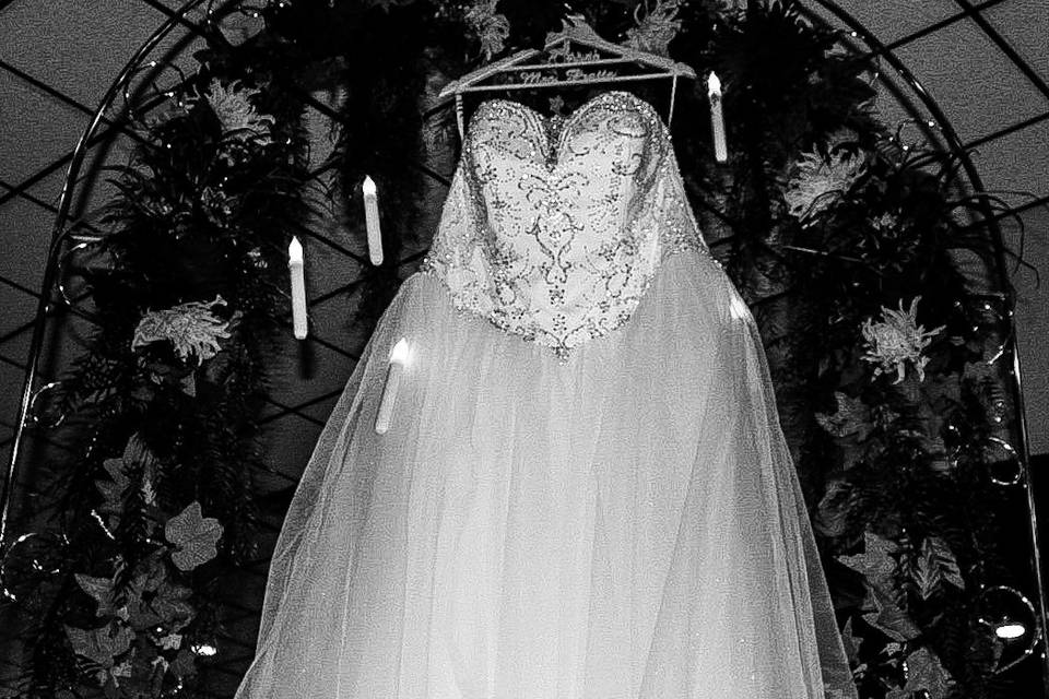 THE BEAUTIFUL BRIDES DRESS