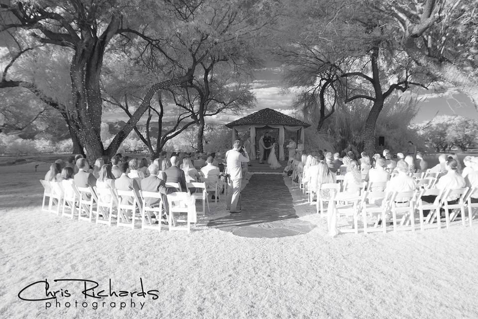 Photos by Chris Richards Photography
Venue is La Mariposa