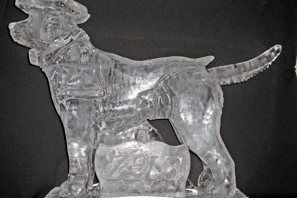 Metro Ice Sculptures