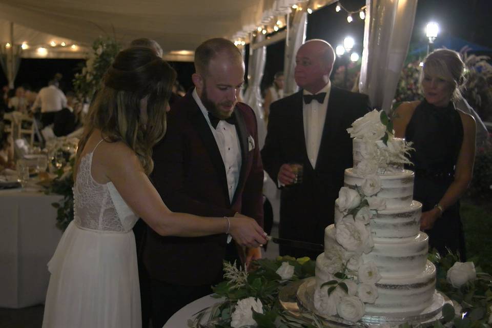 Cake Cutting