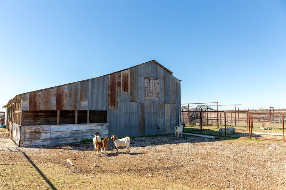 Reneau Farms