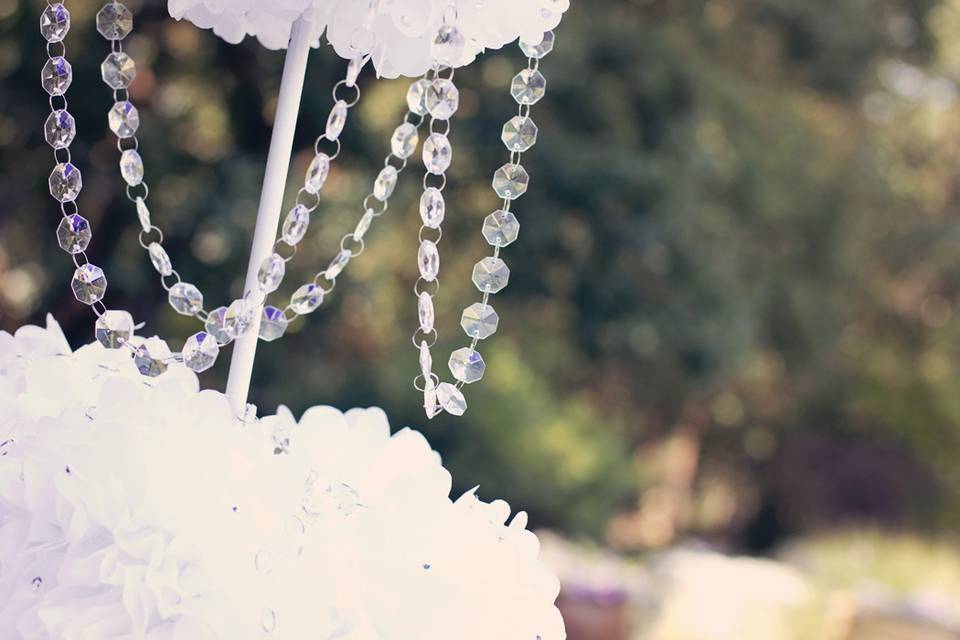 FRAME BY FRAME PHOTOGRAPHY