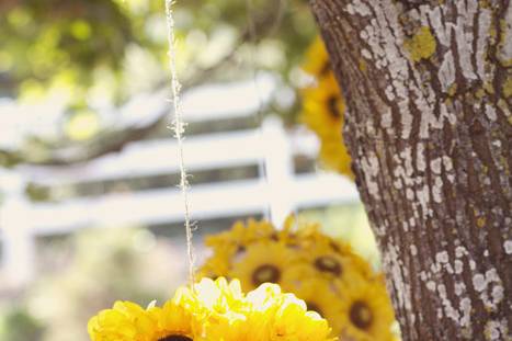 FRAME BY FRAME PHOTOGRAPHY