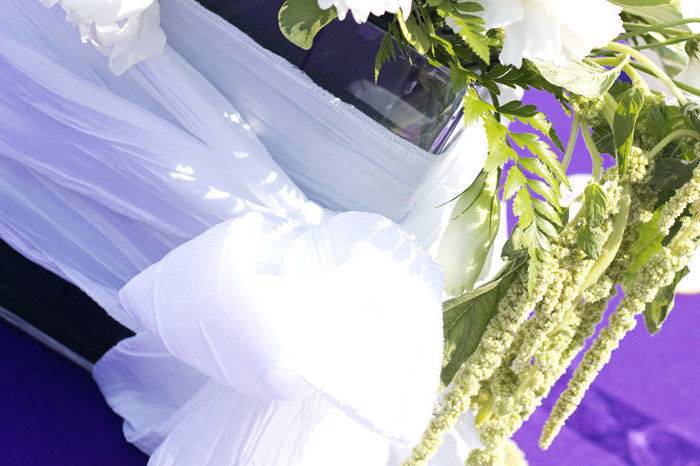 FRAME BY FRAME PHOTOGRAPHY