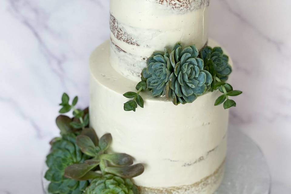 Naked succulent cake