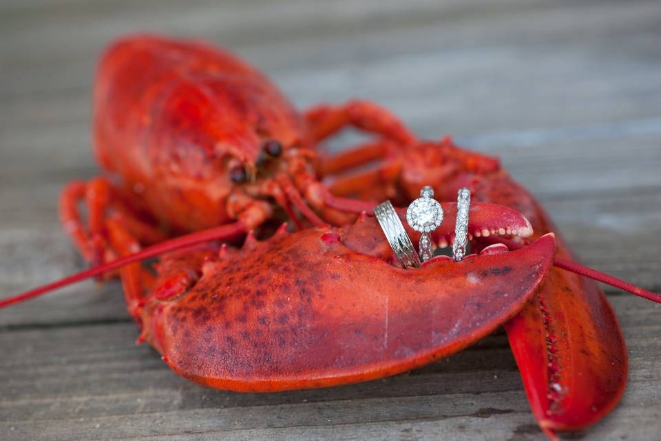 Loving lobsters