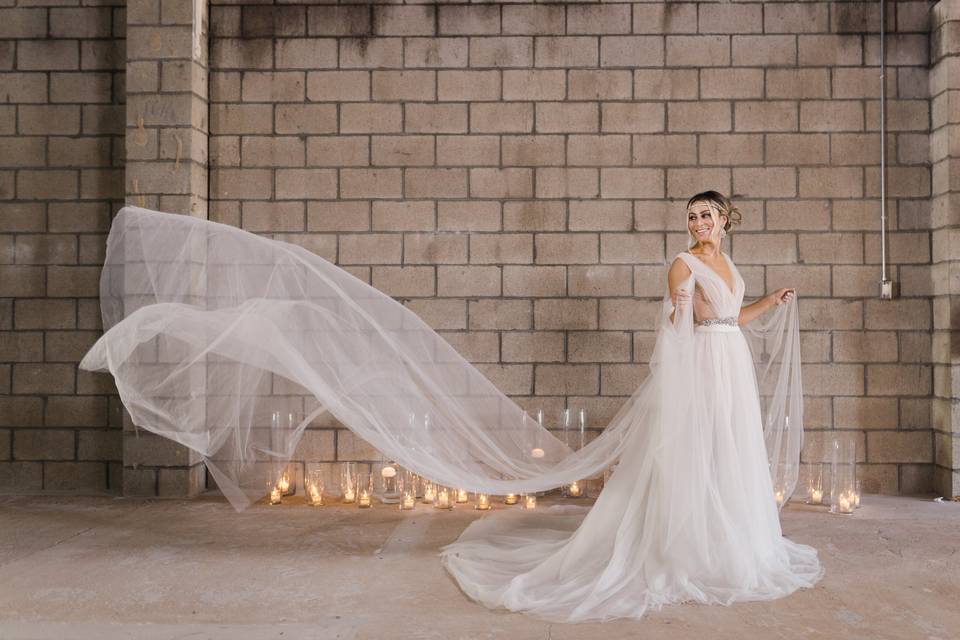 Elegant bride, flowing dress