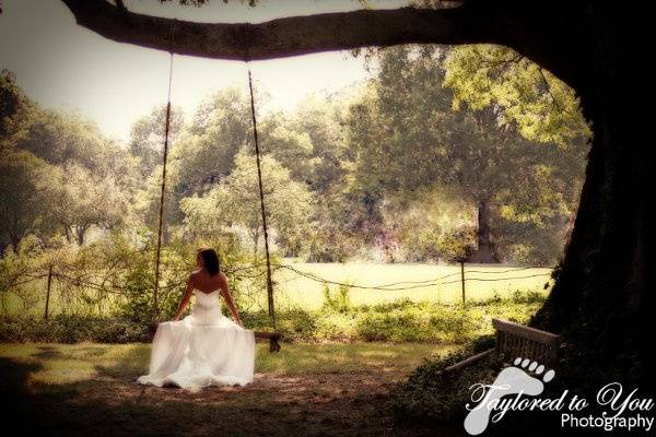 Taylored to You Photography