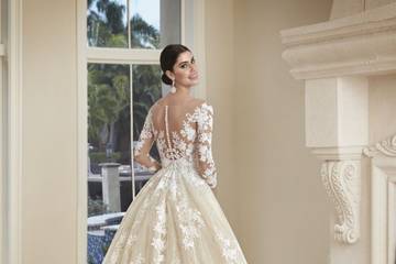 Elegant ball gown