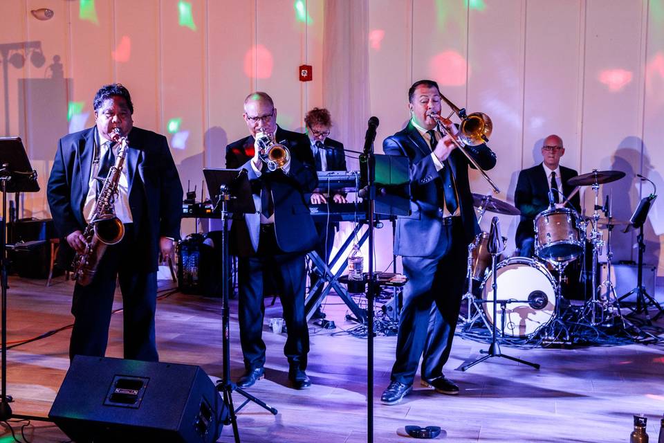 Horns at the wedding