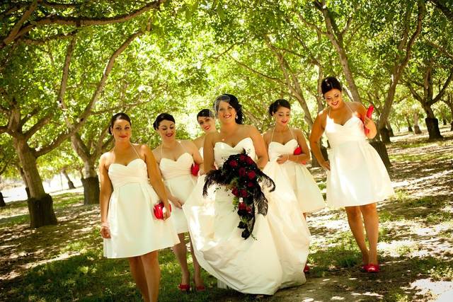 Bride with the bridesmaids