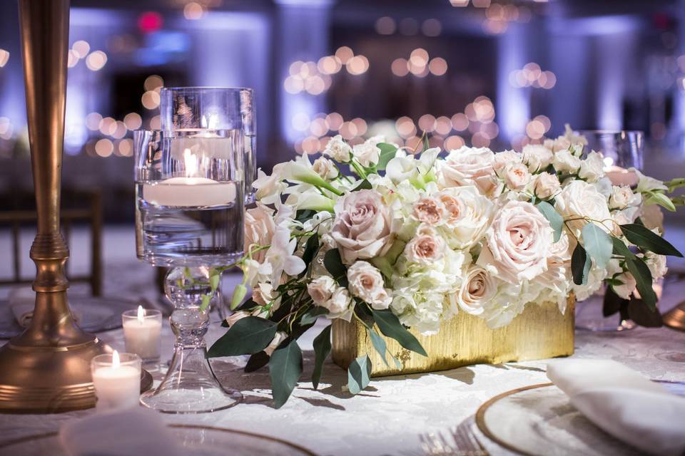 Signature Essence Events