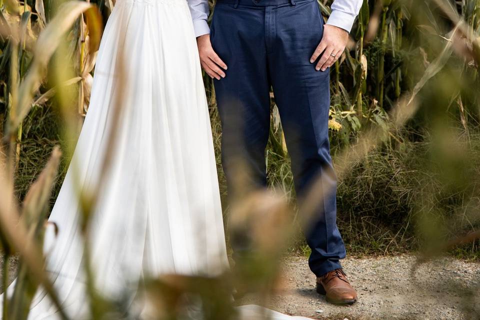 Love in a cornfield