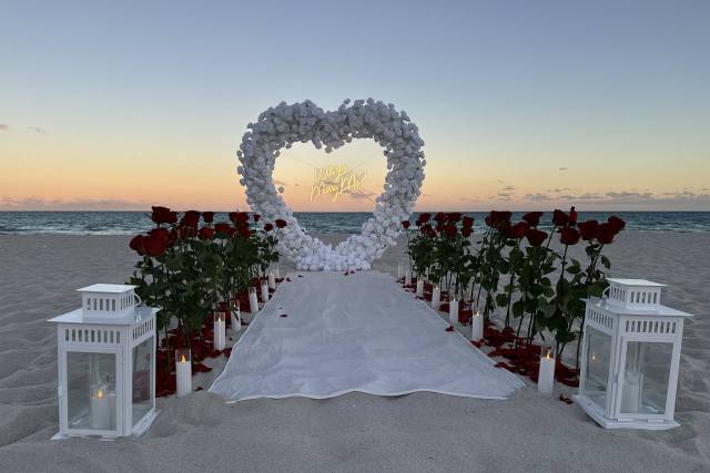 Beach Proposal - Miami Beach
