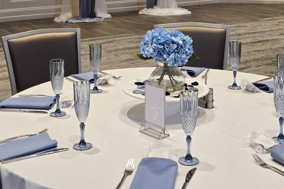 Wedding Backdrop 2
