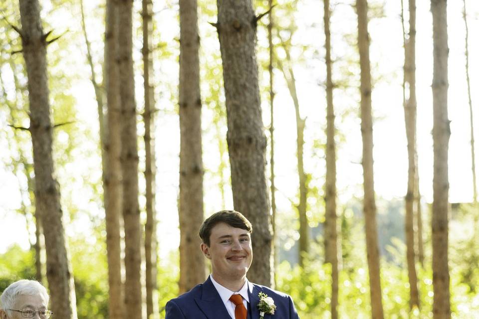 The Pines