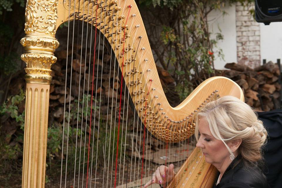 Orange County Harpist