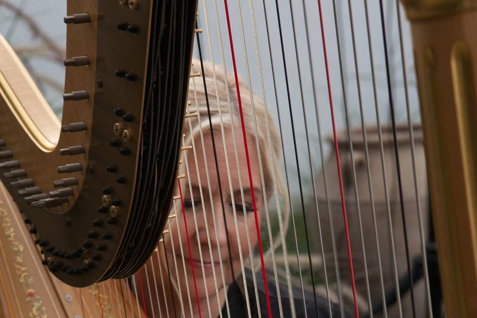 Orange County Harpist