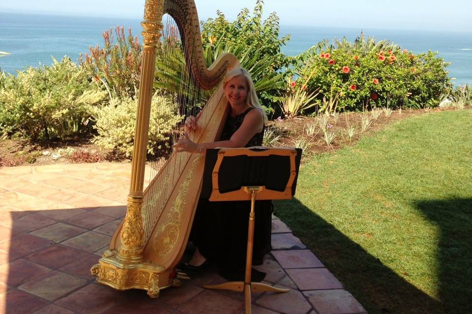 Orange County Harpist