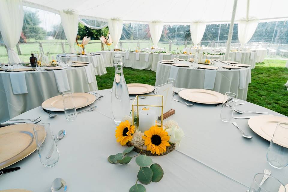 Outdoor Tented Wedding