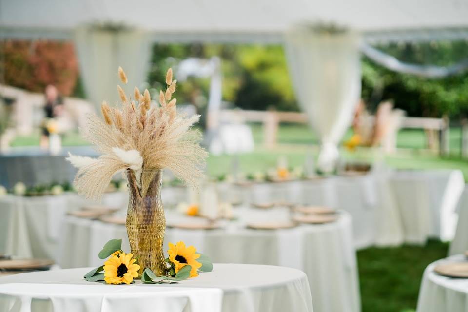 Outdoor Tented Wedding