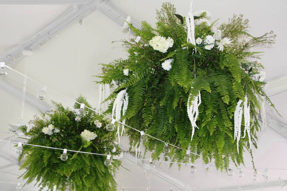 Hanging Ferns and Flowers