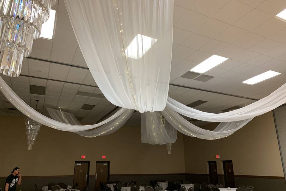 Flat panel ceiling drape