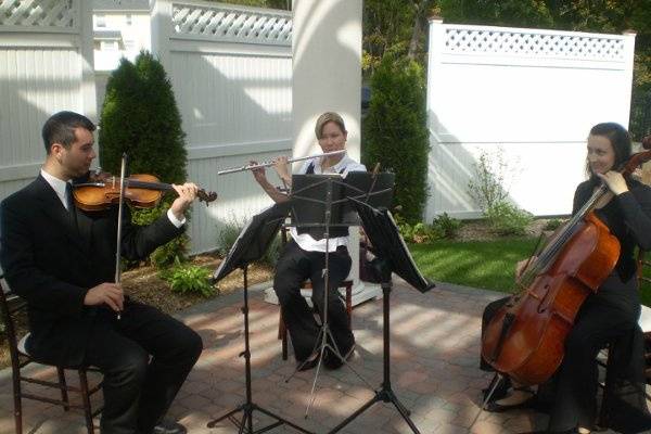 String Duo & Flute for Ceremony or Cocktail Hour.
http://www.atmosphere-productions.com/livemusicians.html