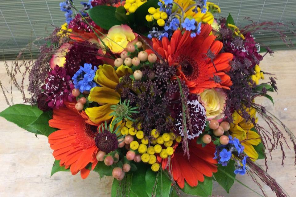 Vibrant and wild Bouquet.  Alaskan Grown product such as Tansy, Love Grass, Japanese Forget- me- nots, Black Knight Scabiosa, Rudbeckia and Black Dill blend with Vibrant Orange Gerbera Daisies for a rustic yet upscale look .