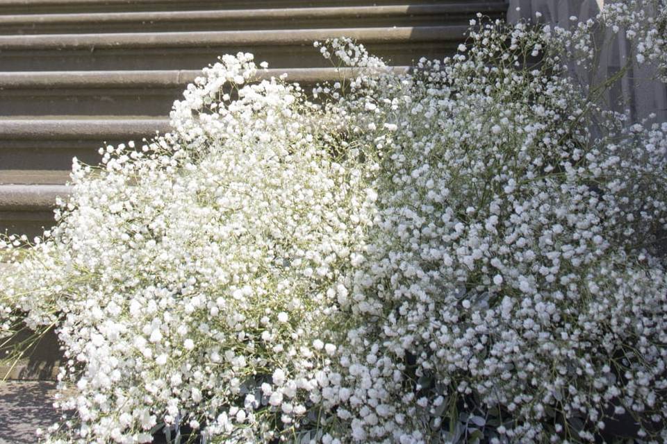 Particolari Eventi