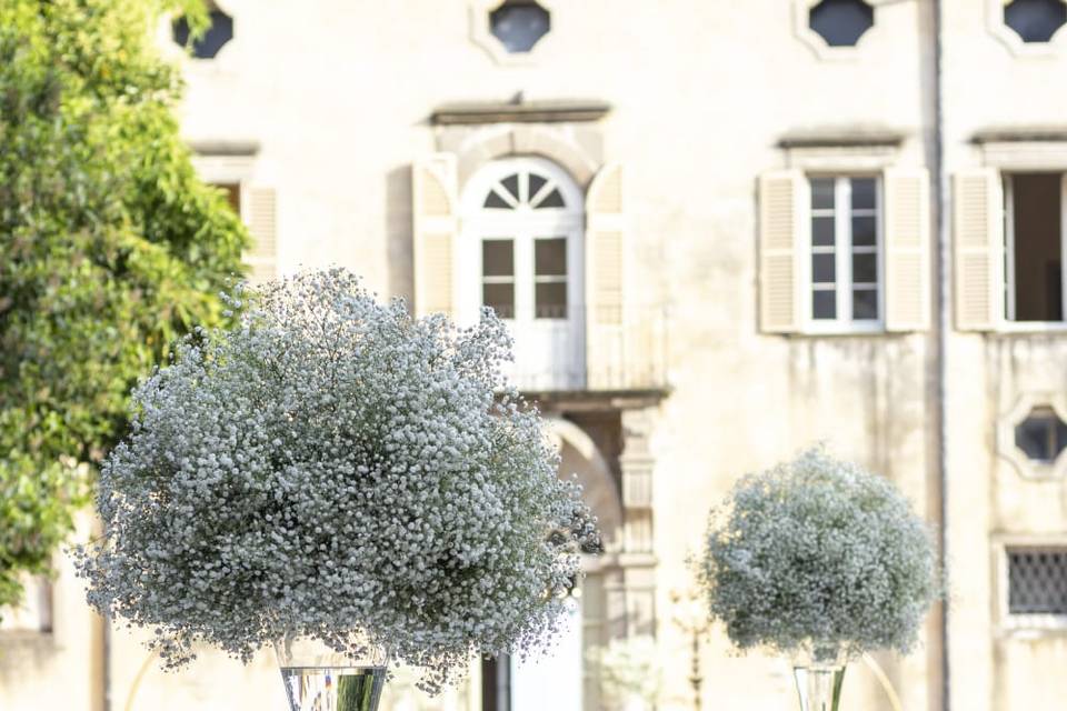 Particolari Eventi