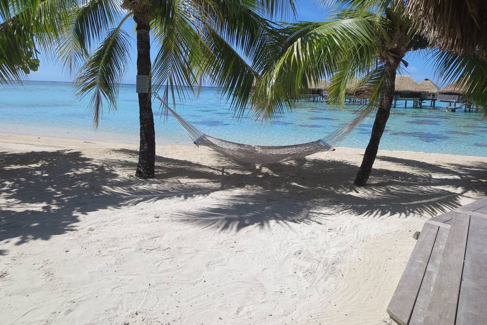 St regis bora bora