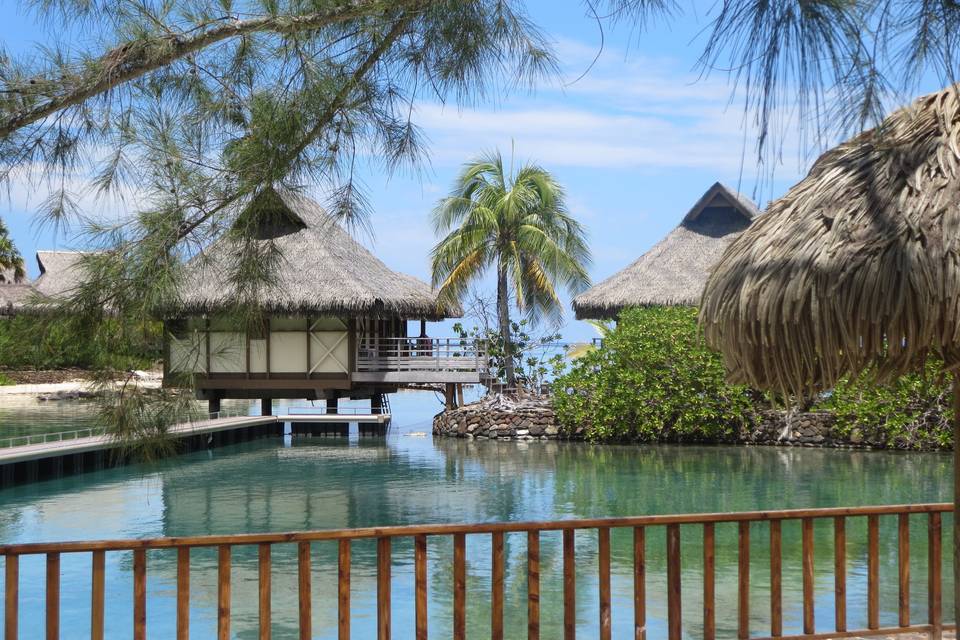 Intercontinental moorea