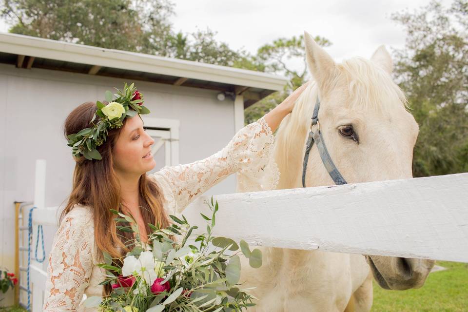 Twisted Oak Farm