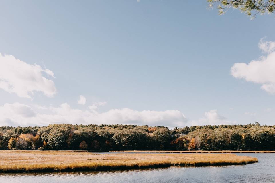 Salt Marsh