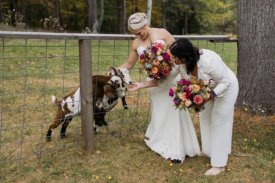 Brides with the goats!
