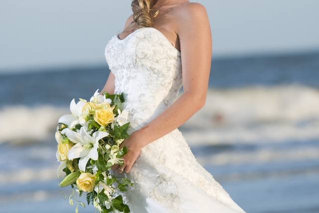 Kaufman Photography